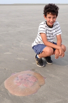 &copy; Thijs de Boer